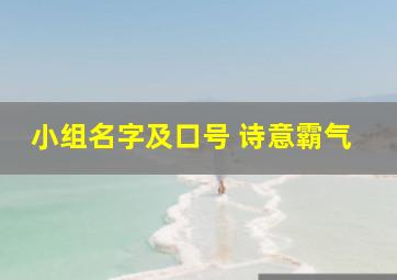 小组名字及口号 诗意霸气